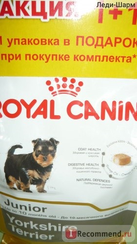 Royal Canin Yorkshire Terrier 29 Junior(до 10 месяцев) фото