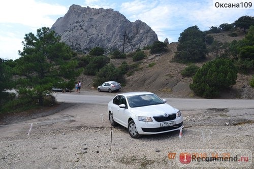 Skoda Octavia - 2015 фото