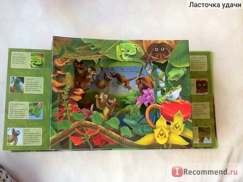 Rainforest 3D Wild ( книга для детей 