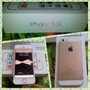 Apple iPhone 5s фото