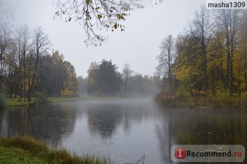 Россия, Павловский парк фото