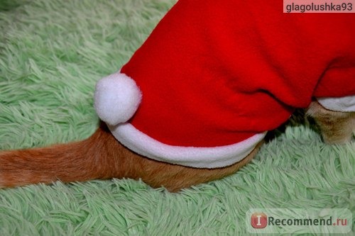 Одежда для собак Aliexpress 2015 New Pet Dog Cat Cute Bunny Clothes Warm Clothes Autumn Winter Puppy Costumes Apparel Christmas Gift фото