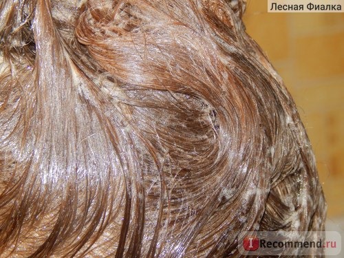 Краска для волос Schwarzkopf Perfect Mousse фото