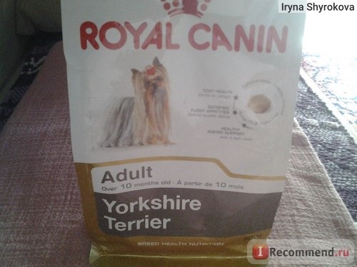 Корм для собак Royal Canin Adult Йоркширский терьер от 10 месяцев фото