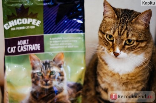 Корм для кошек Chicopee Adult Cat Castrate сухой для кастрированных котов и стерилизованных кошек с курицей фото