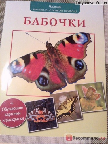 Бабочки. Малышам о живой природе. Волцит П. фото