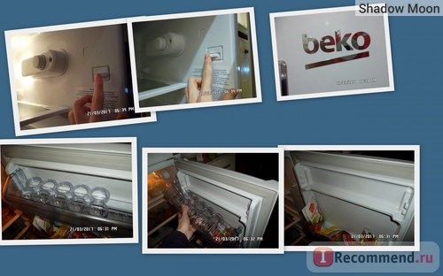 Холодильник- морозильник BEKO DS 325000 фото