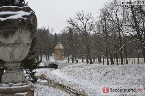 Россия, Павловский парк фото