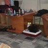 номер с котейкой