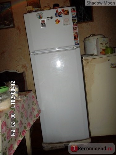 Холодильник- морозильник BEKO DS 325000 фото