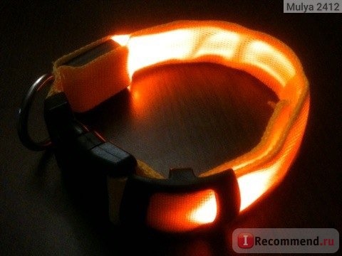 Ошейник Aliexpress Colorful LED Nylon Pet Dog Collar Night Safety LED Light-up Flashing Glow in the Dark Free Shipping FMHM466#S5 фото