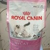 Корм для кошек Royal Canin Mother & Babycat фото