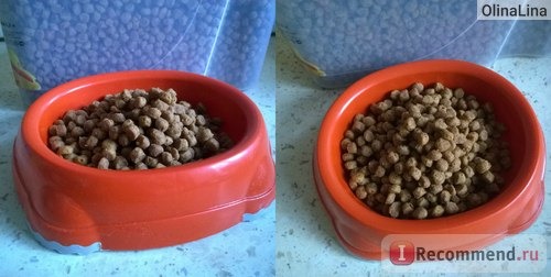 PURINA PRO PLAN Junior Delicate с индейкой и рисом