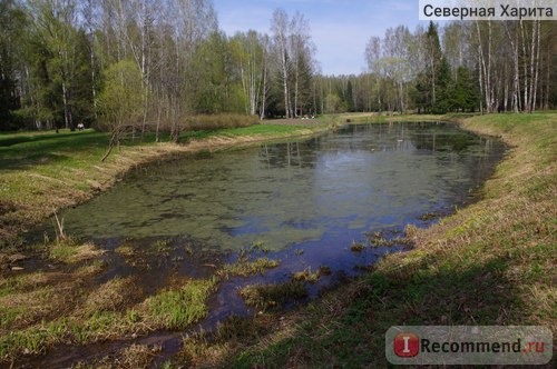 Россия, Павловский парк фото