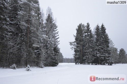 Россия, Павловский парк фото