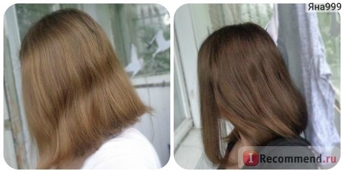 Краска для волос Schwarzkopf Perfect Mousse фото