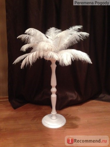 Перо страуса Aliexpress Ostrich Feather Wedding Decoration Party Plumage White фото