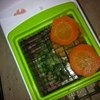 Универсальная овощерезка Genius! Nicer Dicer Plus фото