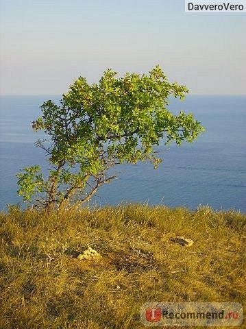 Фиолент, Севастополь фото