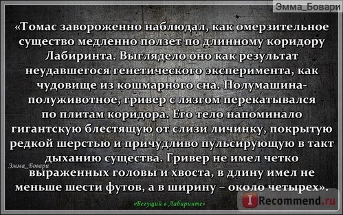 «Бегущий в Лабиринте. Испытание огнем. Лекарство от смерти» Джэймс Дэшнер