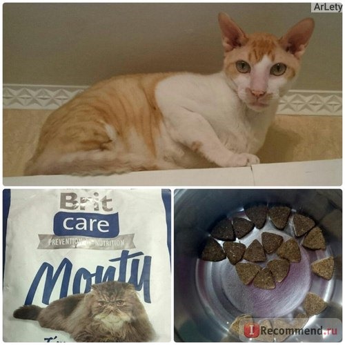 Корм для кошек Brit Care Monty I`m Living Indoor фото