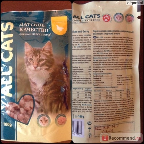 All Cats food фото