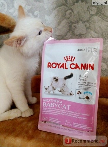 Корм для кошек Royal Canin Mother & Babycat фото