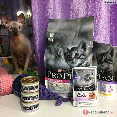 Корм для кошек Purina PRO PLAN Junior Delicate / сухой корм для котят с индейкой и рисом фото