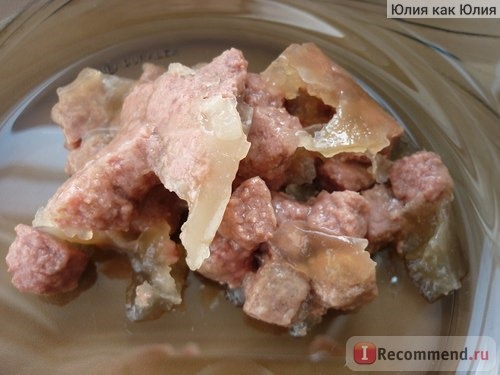 Консервированный корм для кошек в пакетиках 