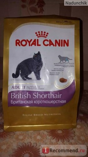 Royal Canin для Британцев фото