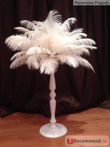 Перо страуса Aliexpress Ostrich Feather Wedding Decoration Party Plumage White фото