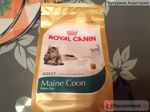 Royal Canin Сухой корм Мейн Кун 31 для кошек крупных пород фото