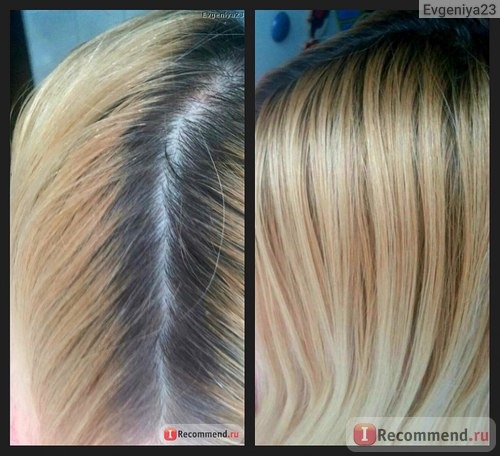 Краска для волос Palette SALON COLORS фото