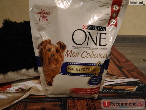 Корм для собак Purina ONE My Dog Is фото