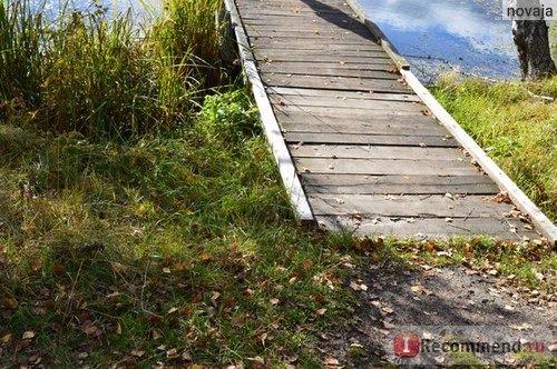 Хочу поделиться своими первыми снимками, все фотографии без обработки, только снято и выложено в компьютер. И большая просьба фото не копировать, можно скинуть себе лично.