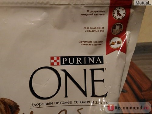 Корм для собак Purina ONE My Dog Is фото