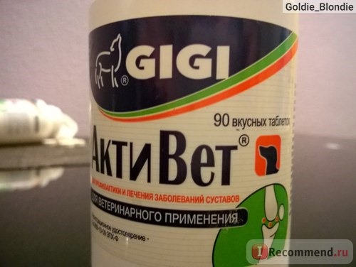 Витамины GIGI Акти Вет фото