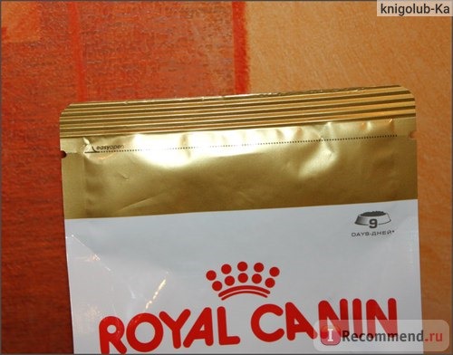 Корм для собак Royal Canin Adult Йоркширский терьер от 10 месяцев фото