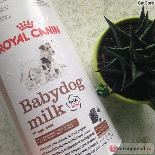 Royal Canin Babydog milk фото