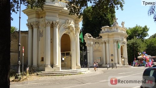 Зоопарк в Риме. Bioparco di Roma фото