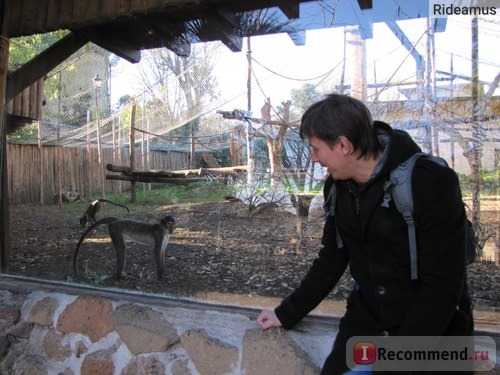 Зоопарк в Риме. Bioparco di Roma фото