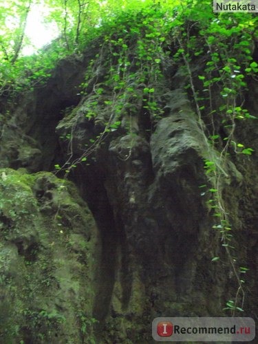 Свирское ущелье пос. Лазаревское Сочи фото