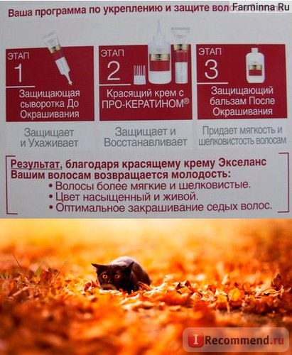 Краска для волос L'OREAL EXCELLENCE Creme Стойкая фото