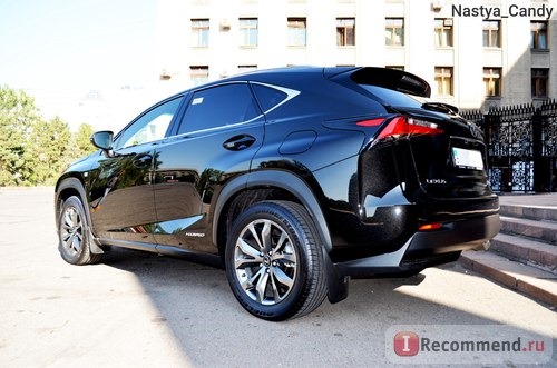 Lexus NX 300 H - 2015 фото