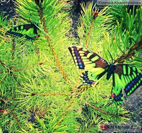 Бабочки на магнитах Butterfly Sticker 3D Art Design фото