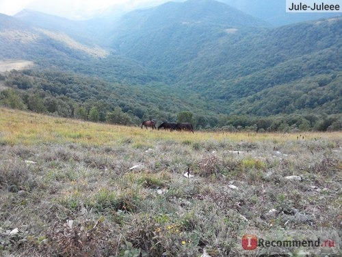 Россия, Геленджик фото