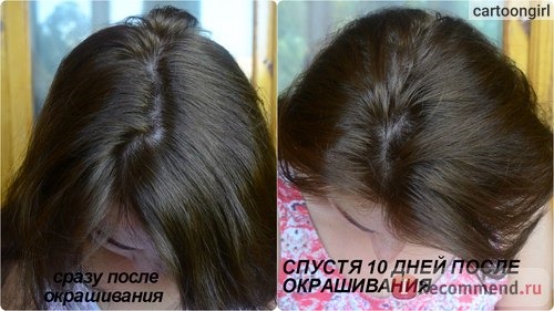 Краска для волос L'OREAL EXCELLENCE Creme Стойкая фото