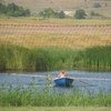 Кстати, анимация работала и по бассейну плавали вот такие штуки)))