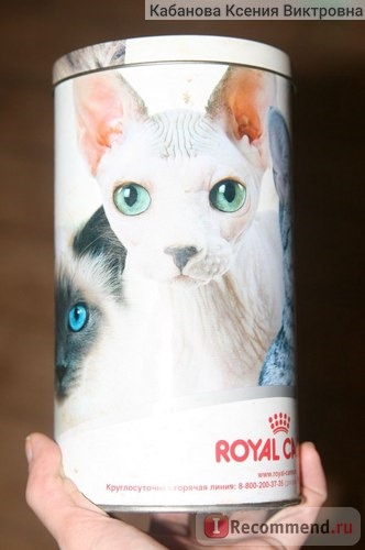 Корм для кошек Royal Canin Oral Care фото