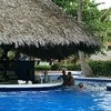 Barcelo Dominican Beach 4*, Доминиканская республика, Пунта Кана фото